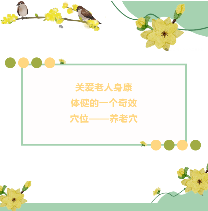 關(guān)愛老人,從穴位開始