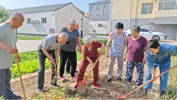 秋實滿園，樂享“豐”景---信康養老·燕園小菜園豐收季