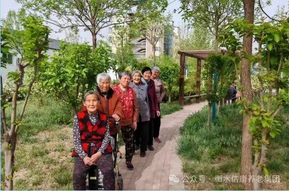 走進衡水信康養(yǎng)老·燕園,體驗不一樣的養(yǎng)老生活---平房小院,樂享悠然 走進衡水信康養(yǎng)老·燕園,體驗不一樣的養(yǎng)老生活---平房小院,樂享悠然
