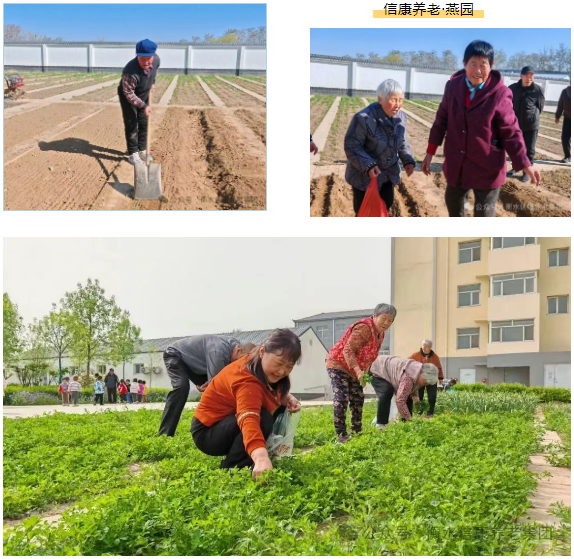 走進衡水信康養(yǎng)老·燕園,體驗不一樣的養(yǎng)老生活---平房小院,樂享悠然 走進衡水信康養(yǎng)老·燕園,體驗不一樣的養(yǎng)老生活---平房小院,樂享悠然