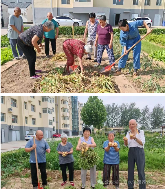 走進衡水信康養(yǎng)老·燕園,體驗不一樣的養(yǎng)老生活---平房小院,樂享悠然 走進衡水信康養(yǎng)老·燕園,體驗不一樣的養(yǎng)老生活---平房小院,樂享悠然