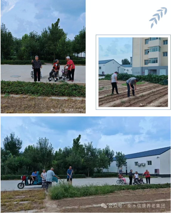 一鍬土一瓢水/ 信康養老·燕園的秋播實錄 一鍬土一瓢水/ 信康養老·燕園的秋播實錄