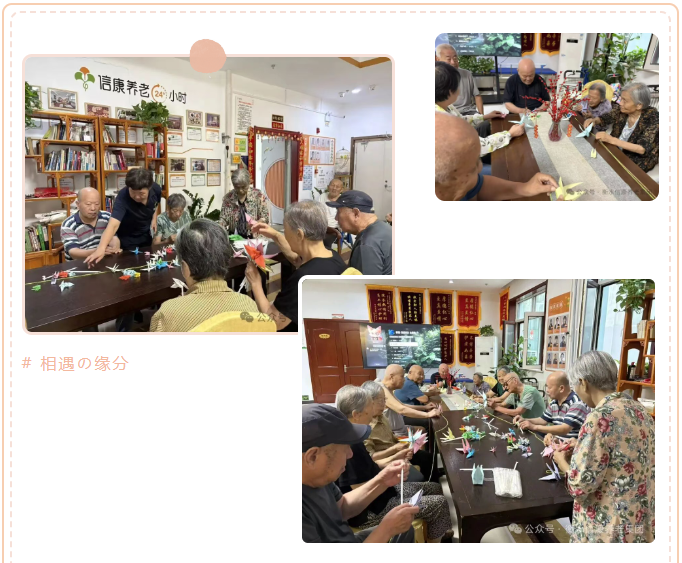 銀齡巧手,鶴寄溫情 銀齡巧手,鶴寄溫情